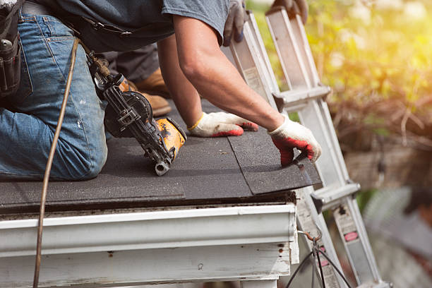 Best Shingle Roofing Installation  in Algonac, MI