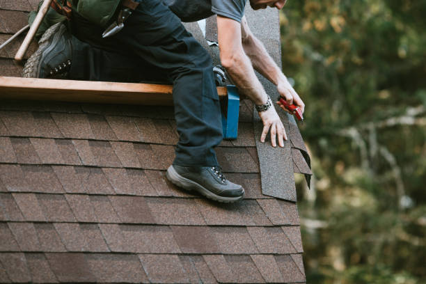 Best Roof Restoration Services  in Algonac, MI